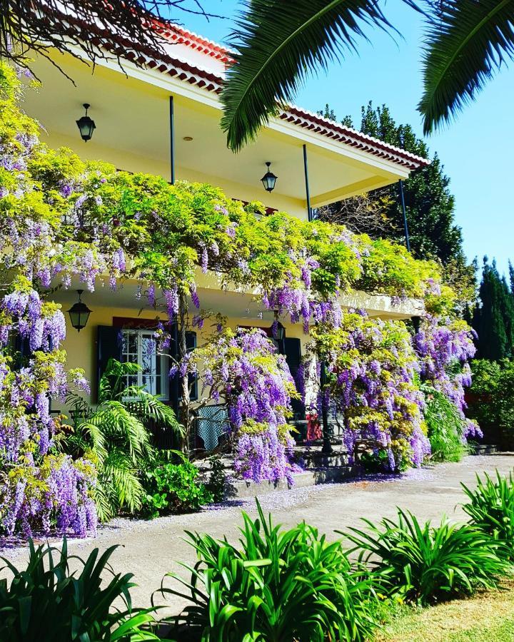 Quinta Do Cabouco Hotel Ribeira Brava Luaran gambar