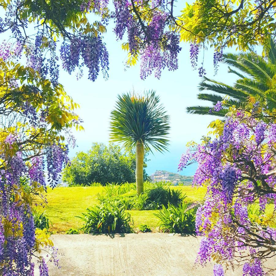 Quinta Do Cabouco Hotel Ribeira Brava Luaran gambar