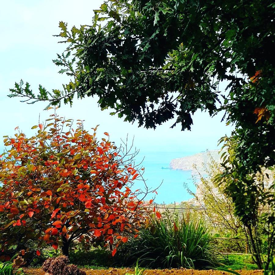 Quinta Do Cabouco Hotel Ribeira Brava Luaran gambar