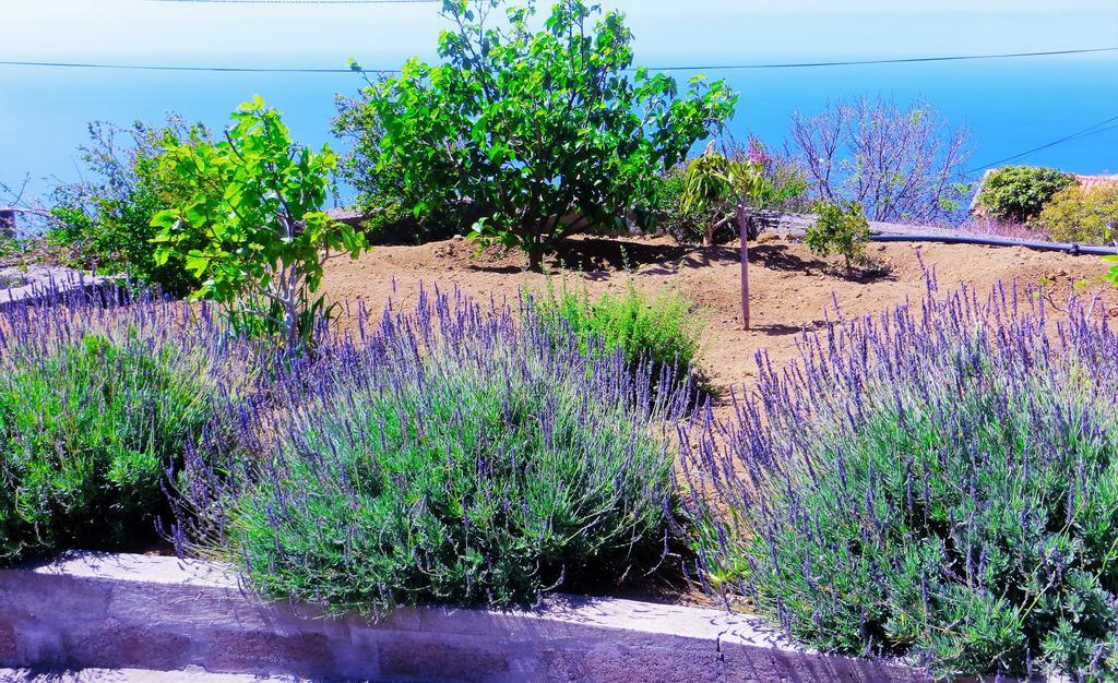 Quinta Do Cabouco Hotel Ribeira Brava Luaran gambar