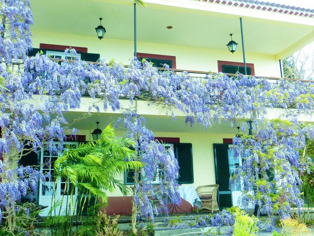 Quinta Do Cabouco Hotel Ribeira Brava Luaran gambar